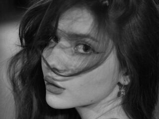 free online chat VelvetMeow