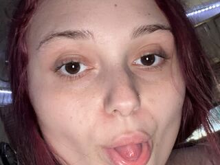 spy web cam aaxys